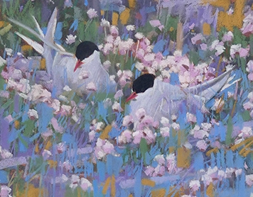 Seabirds and clifftops