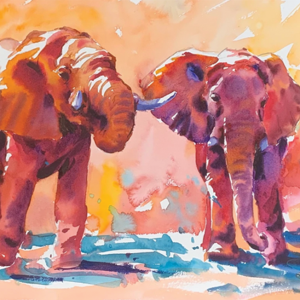 watercolour of two elephants by Tom Shepherd