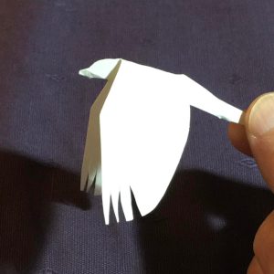 Fri 09:30 - Demo: Birds in Flight - Bus Shelter - Led by Mark Boyd