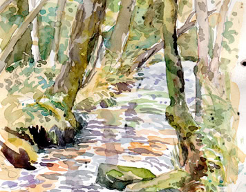 Pembrokeshire Paintbox (virtual holiday)