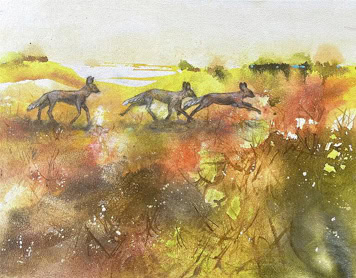 Where the Wild Dogs Run – South Africa 2026